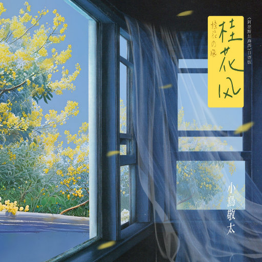 欧美猛哥午夜视频在线看
